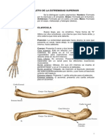 Osteologia de Extremidades