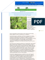 Malayalam Deepikaglobal Com-Feature-Feature Details Aspx-Newscode 7441-Feature C PDF