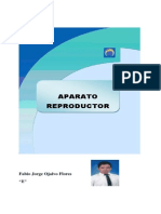 aparato reproductor