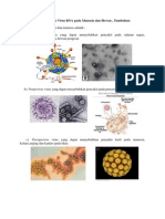 Virus DNA Dan Virus RNA