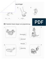 Peperiksaan Akhir Tahun Dunia Sains Dan Teknologi Tahun 1