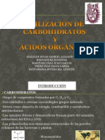 Seminario Utilizacion de Carbohidratos y Ac. Organicos