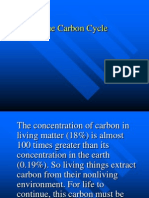 carbon cycle presentation.ppt