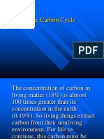 Carbon Cycle Presentation