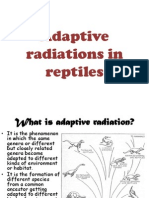 Adaptive Radiations in Reptiles