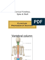 HN1. Cervical - Spine