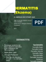DERMATITIS (Ekzema).pptx