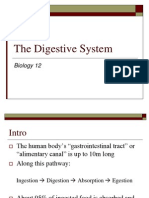 the-digestive-system-1212775140756645-9.ppt