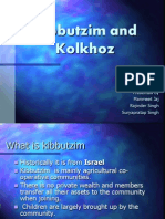 Kibutizm and Kolokhoz