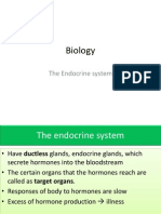 [Biology] the Endocrine System