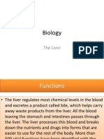 (Biology) The Liver