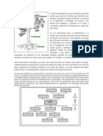 Árbol Del Problema