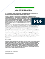 Planta Sufletului Sunatoarea PDF