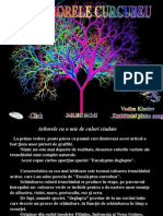 Arborele Curcubeu PDF
