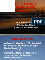 Costas Platenses y Oceánicas Del Uruguay