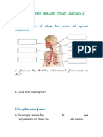 Actividades Repaso Cono Unidad 2 PDF