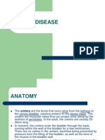 Ureter Disease