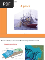 a-actividade-piscatoria.ppt
