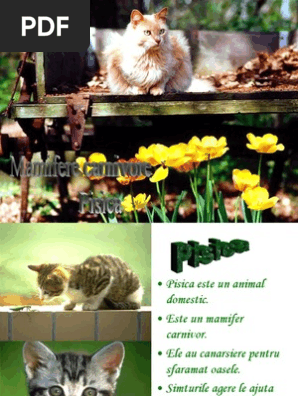 Pisica - 2  PDF