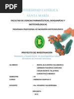 Aislamiento y Caracterización  de microorganismos nativos Bioxidantes de minerales refractarios.