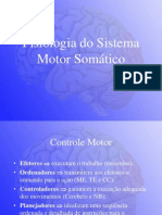 Neurofisiologia Sistema Motor Somatico