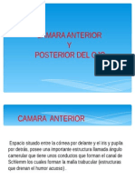 Camara Posterior y Anterior