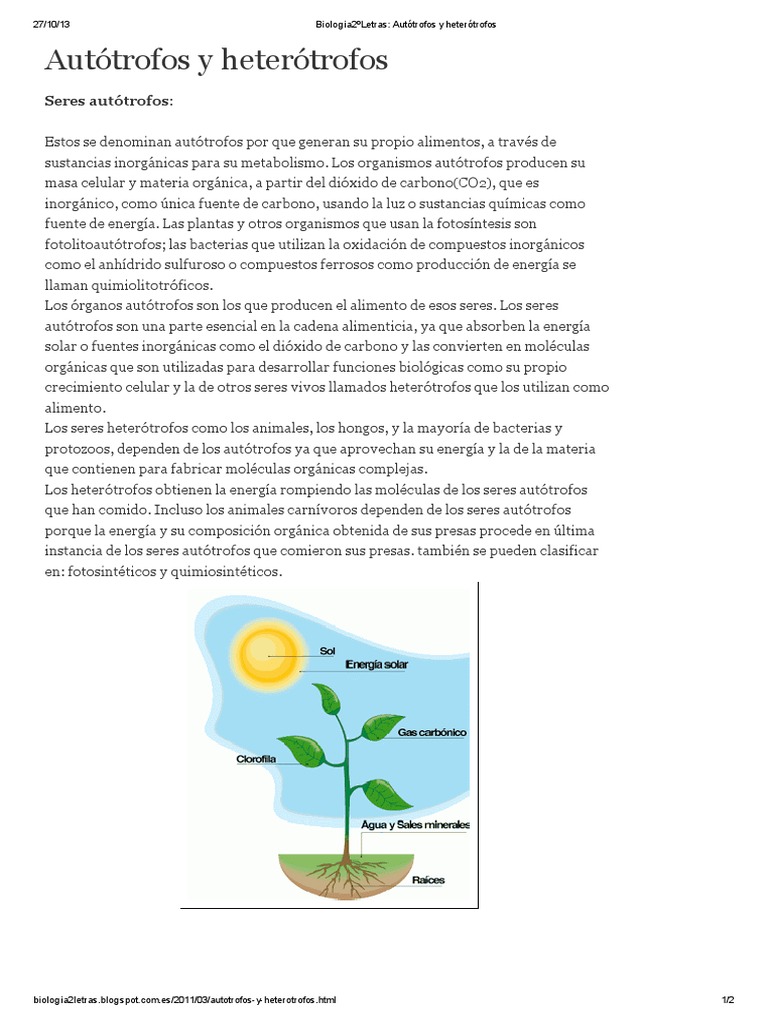 Biologia2ºLetras - Autótrofos y Heterótrofos | PDF | Naturaleza | Biología