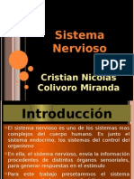 El Sistema Nervioso