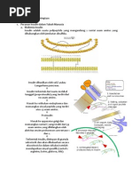 Download Mandiri Skenario 1 - Diabetes Melitus by Rahmadhini Elkri SN179454069 doc pdf