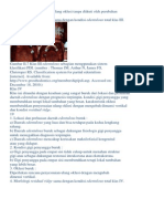 Download Sistem Klasifikasi Edentulous Sebagian2docx by Intan Permata Asti SN179480090 doc pdf