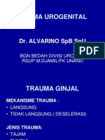 Trauma Urogenital - PPT 1