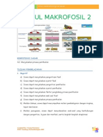 Modul 2 Proses Pemfosilan