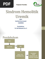 Download Sindrom Hemolitik Uremikpptx by Lindaaa SN179534411 doc pdf