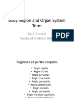 Body Region and Organ System Term Guide