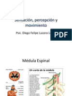 5-8. Sensación, Percepción y Movimiento