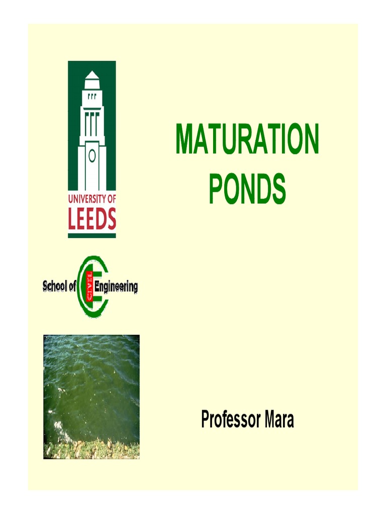 3e Maturation Ponds Chlorophyll Biology