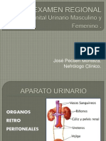 6. Semiologia Region Lumbar