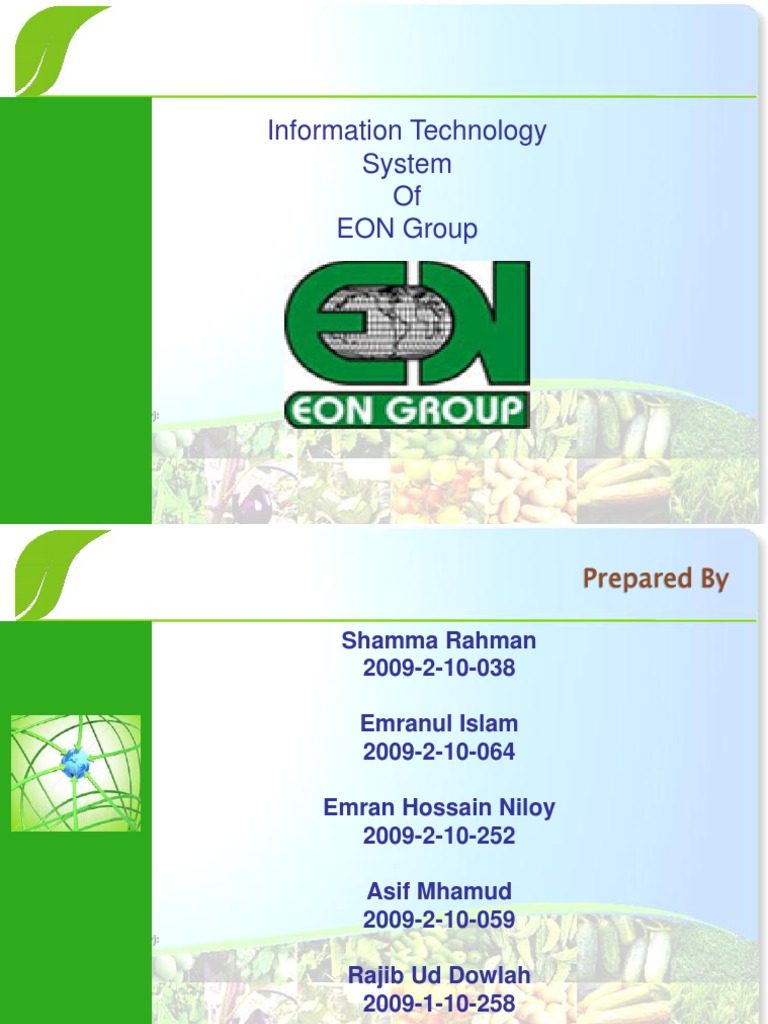 EON Group IT System Overview | PDF | Supply Chain Management | Customer ...