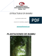 Bambu_1_-_Generalidades_ELW
