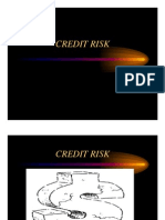 Credit Risk Loan Portfolio Management