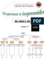 149559135-TERPENOS