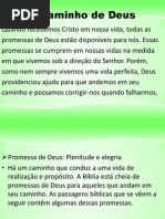 o Caminho de Deus