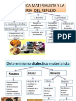 Dialectica Materialista y La Teoria Del Reflejo.ppsx Elizabeth