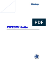 Pipesim User Guide