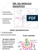 Fisio IV