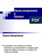 Vasos_Sanguineos_e_Sangue.odp