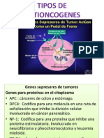 Onocgenes