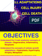 Ch1 Cell