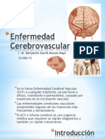 Enfermedad Cerebrovascular