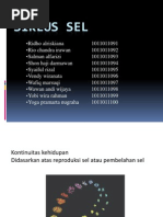 Bio Sel Nukleus Sel Mitosis